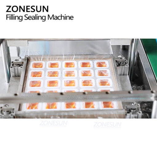 Laundry Detergent Pods Filling Sealing Machine - Image 3